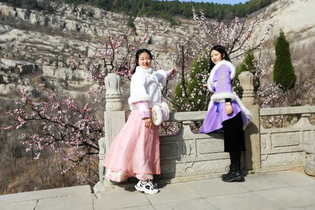 杏花迎春開(kāi)，來(lái)梁山赴一場(chǎng)花香盛宴