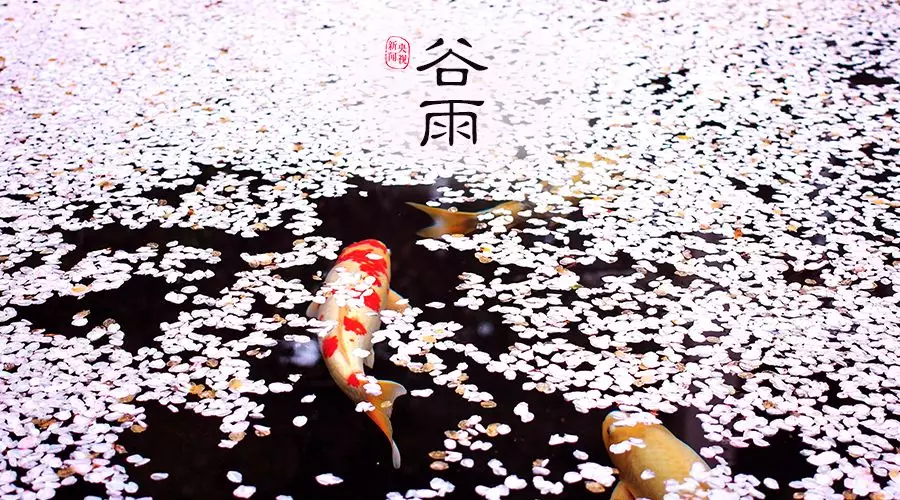 谷雨 | 春欲遠，夏未至，人間最美四月天